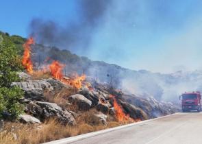 Κρήτη: Υπό έλεγχο τέθηκε η φωτιά κοντά στο δάσος της Κέρης