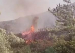 Φωτιά στον Όλυμπο - Συναγερμός στην Πυροσβεστική