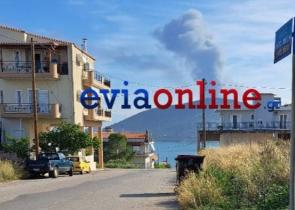 Εύβοια: Μεγάλη φωτιά σε εργοστάσιο στην Αυλίδα