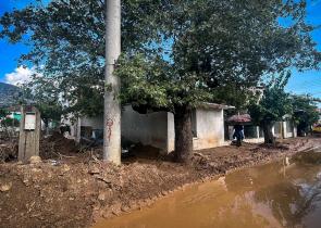 Work continues to restore power, road access in Thessaly, Evia villages