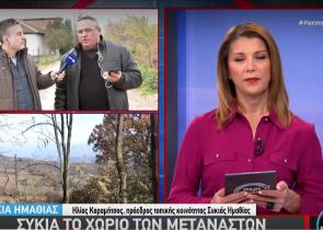 Συκιά Ημαθίας: Το χωριό με τον γερασμένο πληθυσμό που περιμένει την επιστροφή των «ξενιτεμένων»