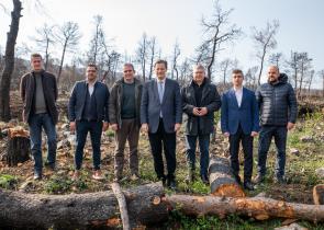 Η ΗELLENiQ ENERGY ολοκληρώνει τα κρίσιμα αντιδιαβρωτικά έργα στις καμένες δασικές εκτάσεις της Δυτικής Αττικής