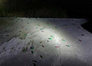 Μεγάλη αστυνομική επιχείρηση στη Δυτική Αττική: Κατασχέθηκαν όπλα και πλήθος φυσιγγίων