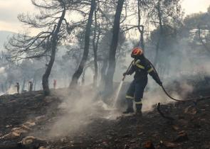 Πυροσβεστική: Μπαράζ συλλήψεων και προστίμων για πρόκληση πυρκαγιών στην επικράτεια
