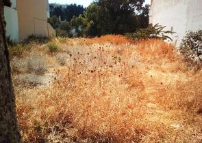 «Βραδυφλεγείς βόμβες» για πυρκαγιές τα ακαθάριστα οικόπεδα
