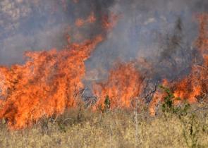 Φιλιατρά: Φυλακή και πρόστιμο 2.148 ευρώ για άνδρα που έβαλε φωτιά σε ξερά χόρτα