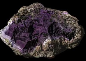 Αυτό είναι το πρώτο συμπαγές θραύσμα «Tyrian Purple» – Η ουσία που σχετίζεται με τους Ρωμαίους αυτοκράτορες
