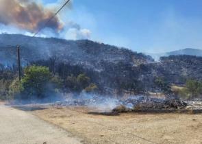 Μεγάλο πύρινο μέτωπο στην Αχαΐα - Τρεις φορές ήχησε το 112 για εκκένωση (Videos&Photos)