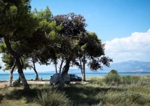 Σχινιάς: Δεν έχει ταυτοποιηθεί ακόμα η σορός - Ανατροπή με το τατουάζ