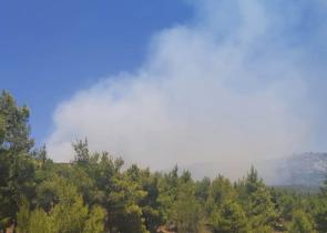Φωτιά στις Ερυθρές Αττικής: Εκκενώνεται προληπτικά κατασκήνωση, ενισχύονται τα εναέρια μέσα