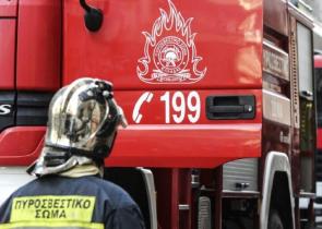 Σε εξέλιξη δασική φωτιά στην Πρέβεζα – Μήνυμα από το 112