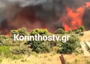 Πυρκαγιά στην Κορινθία: Νέα αναζωπύρωση στο Κούτσι