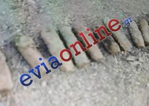Εύβοια: Μεταφέρθηκαν και εξουδετερώθηκαν 15 πολεμικά βλήματα από την παραλία Αμίτσα (εικόνες)