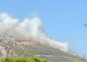Μάχη με τις αναζωπυρώσεις σε Νέα Μάκρη και Μαραθώνα