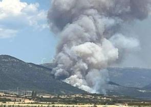 Ροδόπη: Από υπερθέρμανση αντλίας ποτίσματος η πυρκαγιά στη Νέα Σάντα - Συνελήφθη 59χρονος