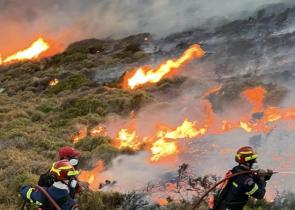 Κρήτη: Φωτιά κοντά στο Αρκαλοχώρι
