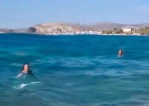 Σαλαμίνα: Άνδρας αποπειράθηκε να βιάσει 20χρονη σε ερημική παραλία (βίντεο)