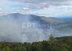 Κοζάνη: Μεγάλη φωτιά στη Βλάστη (Photos)