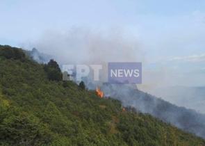 Κοζάνη: Βελτιωμένη η εικόνα από τη φωτιά στη Βλάστη (Photos)