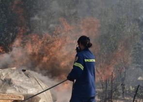 Καβάλα: Περιορίσθηκε σημαντικά η φωτιά στο όρος Παγγαίο