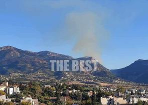 Αχαΐα: Φωτιά στο Kεφαλόβρυσο