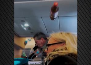 Scandinavian Airlines: Βίντεο από τις στιγμές τρόμου που έζησαν επιβάτες λόγω ισχυρών αναταράξεων