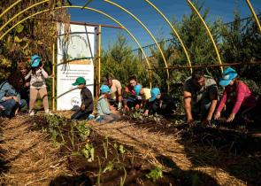 ΔΕΗ και Open Farm προωθούν τη βιώσιμη γεωργία στους μαθητές μέσω του “Carbon Farming Schools”
