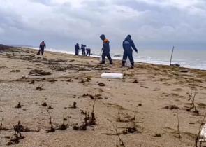 Ρωσία – Πετρελαιοκηλίδα: Πάνω από 30 κήτη βρέθηκαν νεκρά στη Μαύρη Θάλασσα