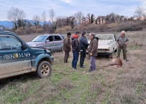 Κερκίνη: Λαθροθήρας σκότωσε ελάφι που κυοφορούσε στο Καταφύγιο Άγριας Ζωής