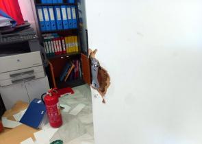 Άγνωστοι έκλεψαν έγγραφα, ηλεκτρονικό εξοπλισμό και χρήματα από το Λύκειο της Νέας Μάκρης